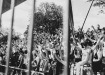 DSC04666