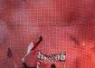 D85_8554