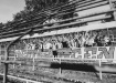 DSC01089
