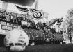 DSC00340
