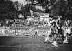 D35_0674